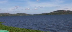 Uganda safaris