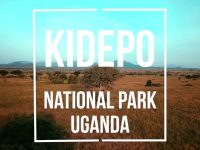 Effortless Way Of Getting To Kidepo Valley national Park Uganda